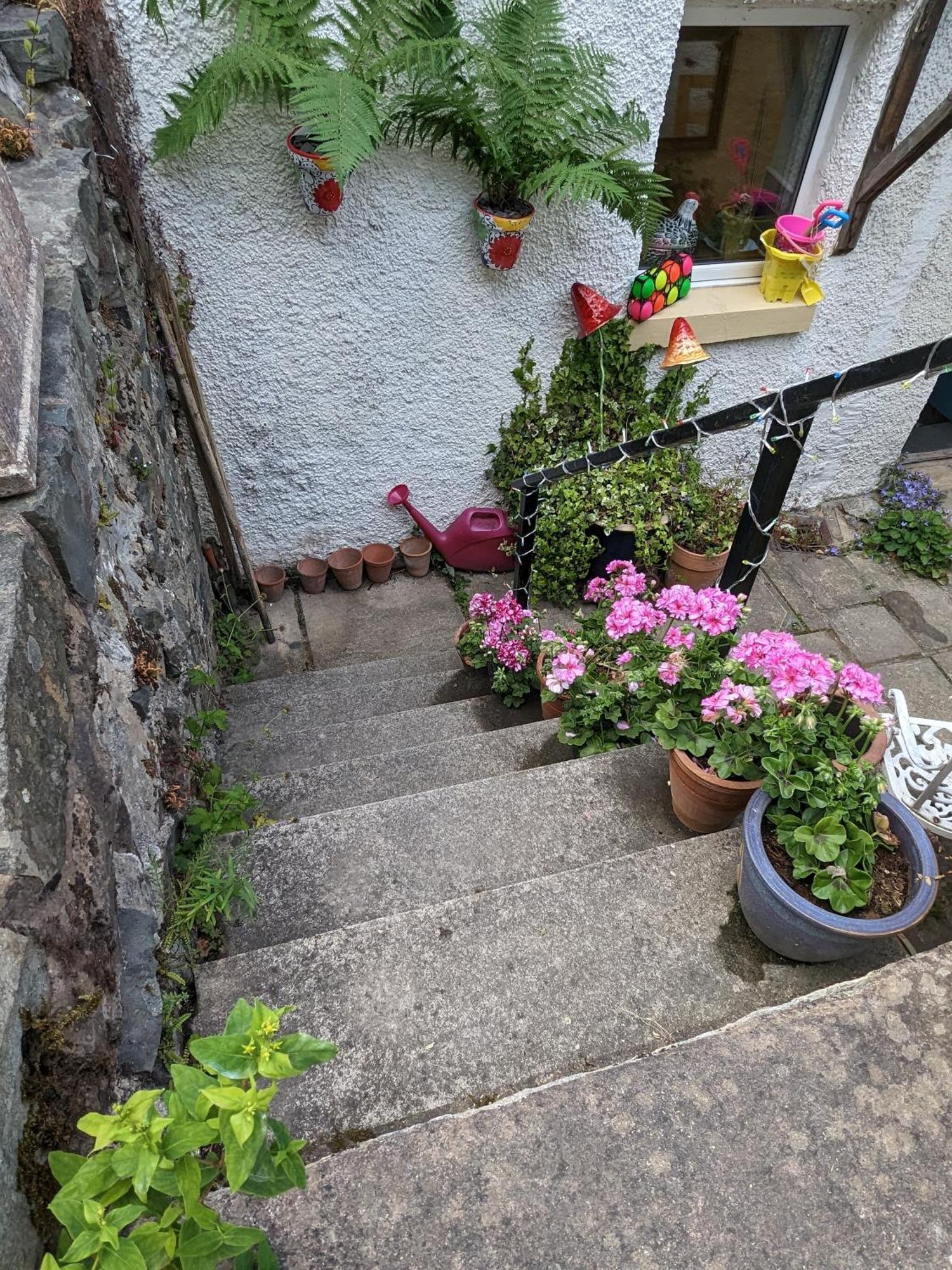 Fantastic Sea Views At Century'S Old Alma'S Cottage - Sleeps Up To 8 Guests Penmaen-mawr المظهر الخارجي الصورة